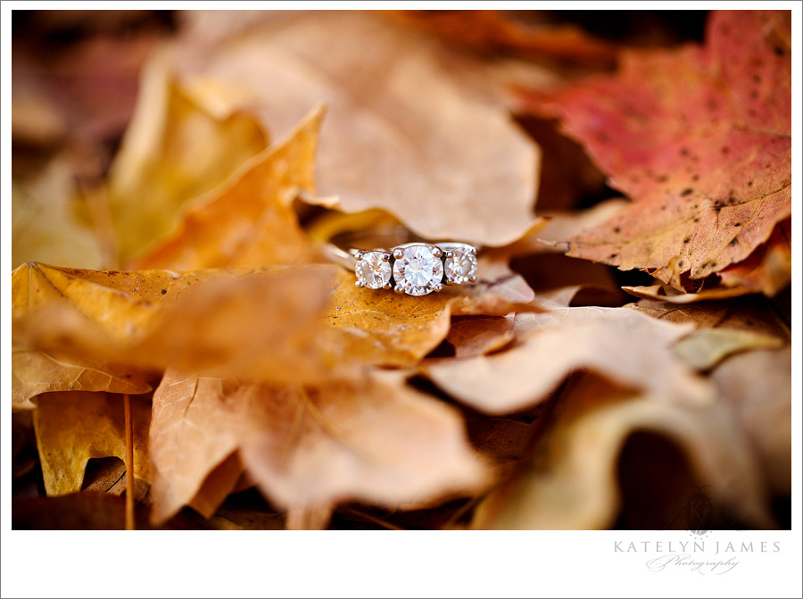 Alex-and-Nikki-Richmond-Wedding-Photographer-1548
