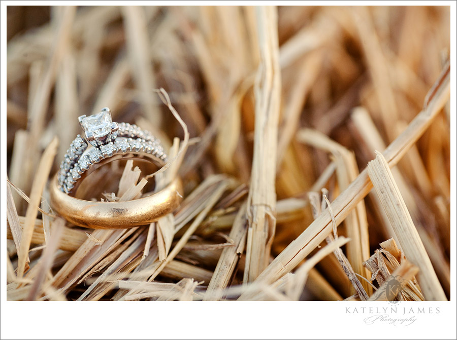 Manny-and-Alison-Farm-Wedding-1697