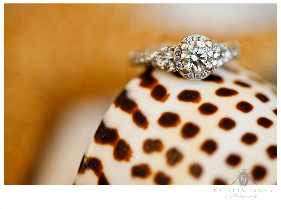 Will-and-Michelle-Northern-Virginia-Wedding-Photographer-243