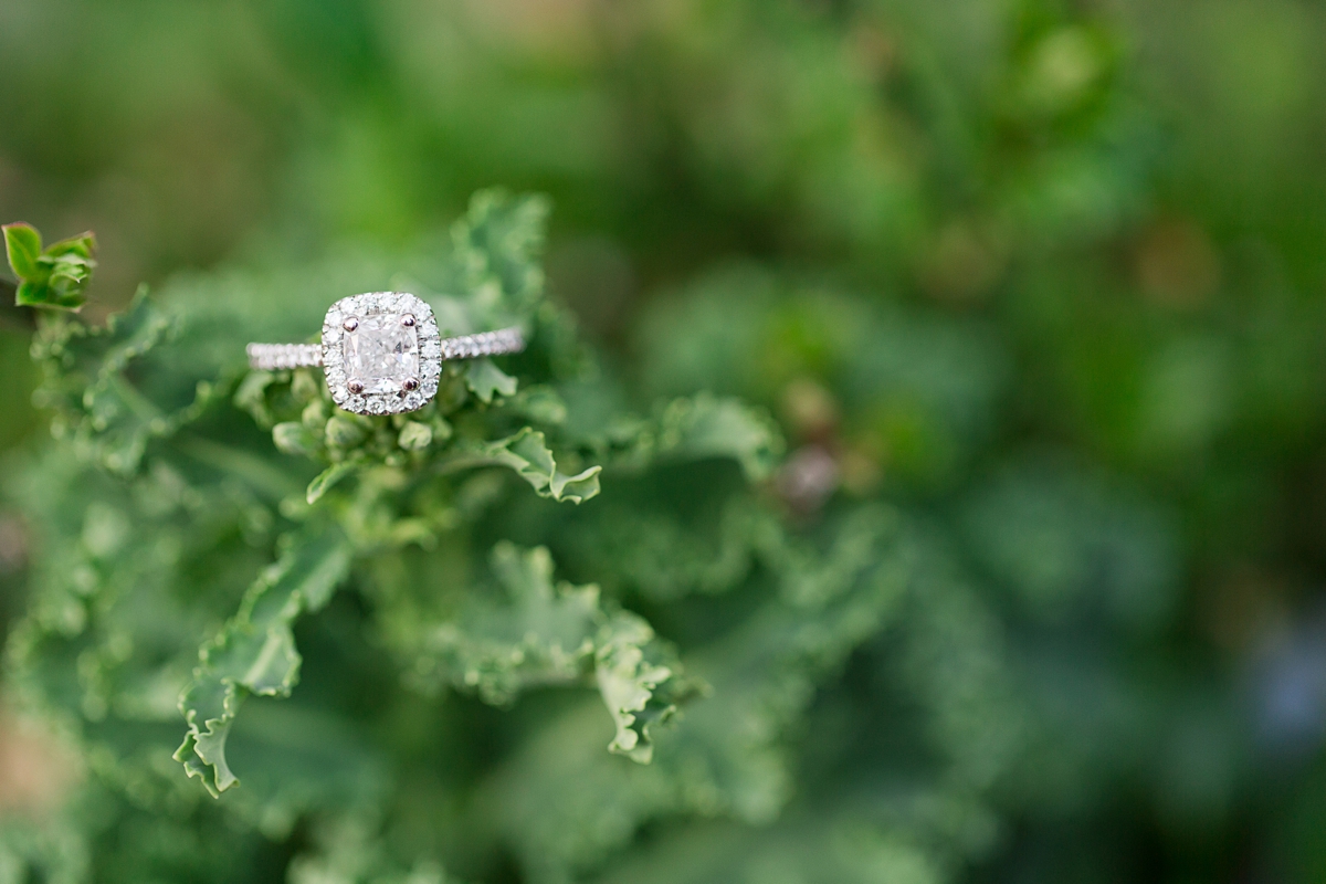 annapolis_wedding_photographer_downtown_engagement_photo_9580