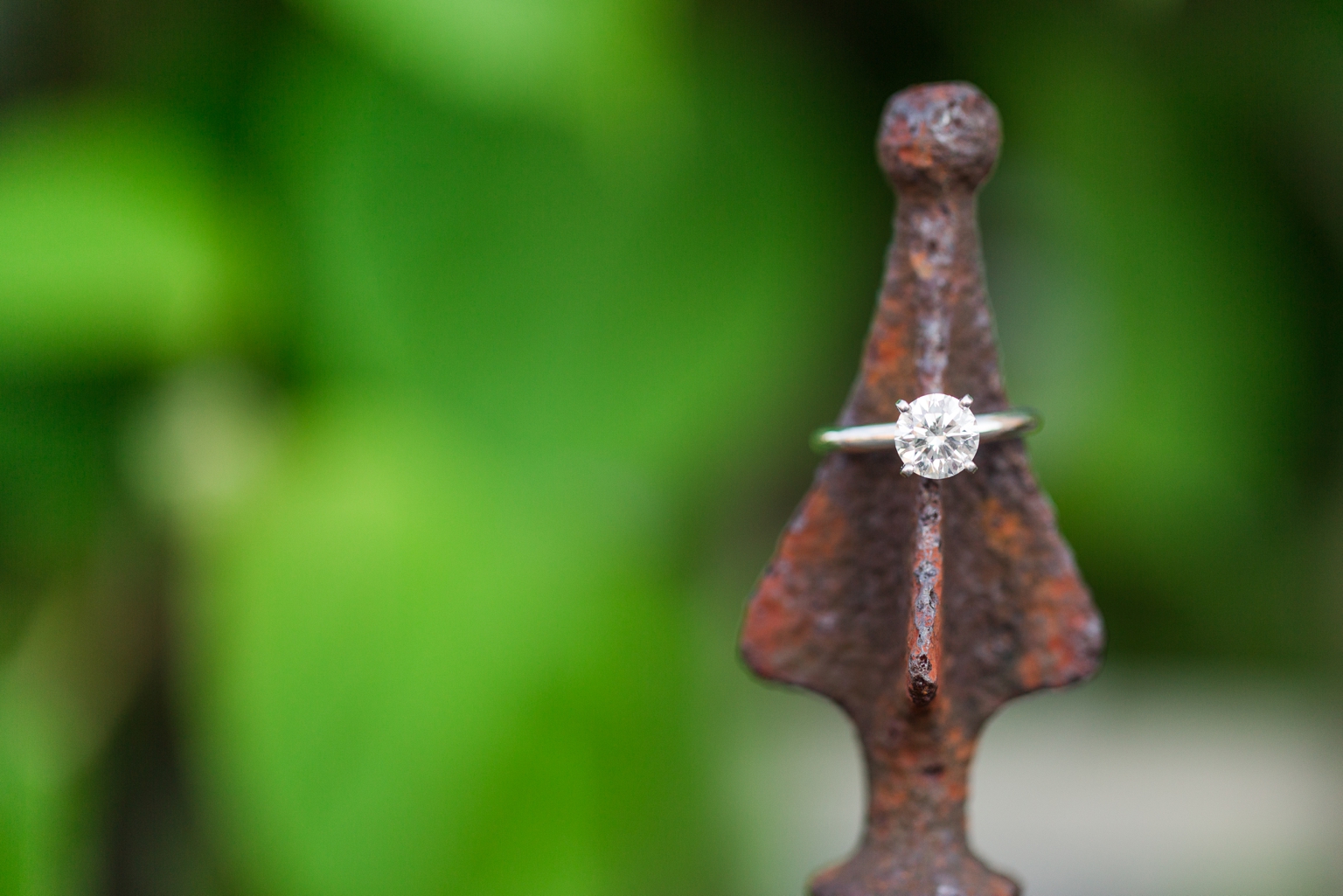 Richmond River Engagement Pictures_9943