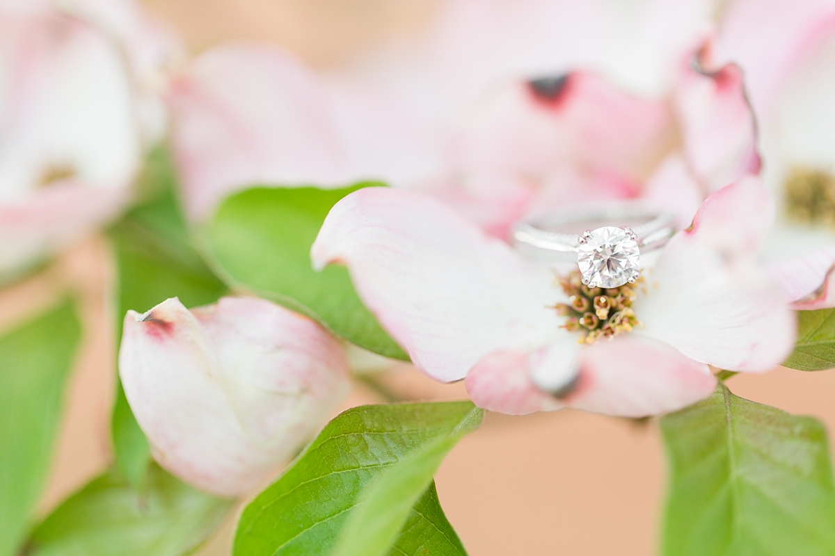 Formal Maymont Engagement Pictures in Richmond, VA | by Katelyn James Photography