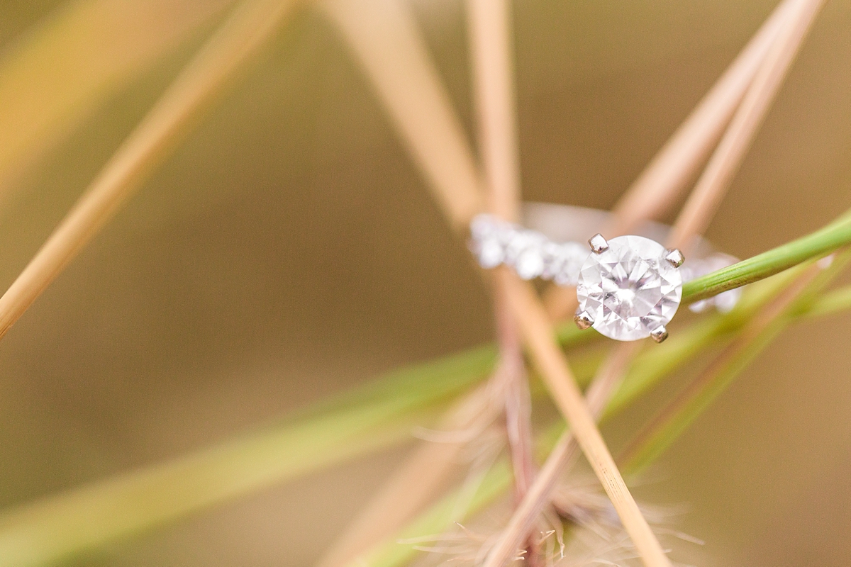 An Autumn Themed State College & Winchester Engagement Session by Katelyn James Photography