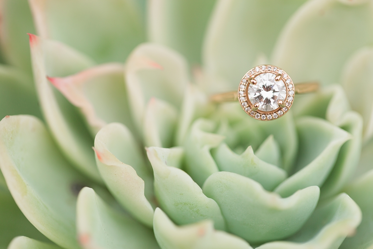 blacksburg-engagment-horticulture-garden_4325